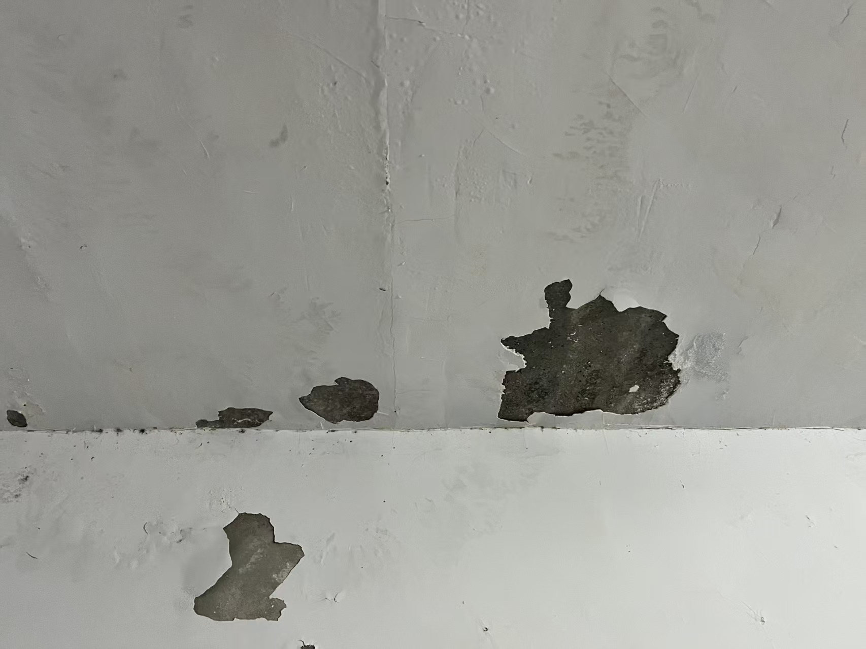 微信图片_20260526164305_530_425.jpg